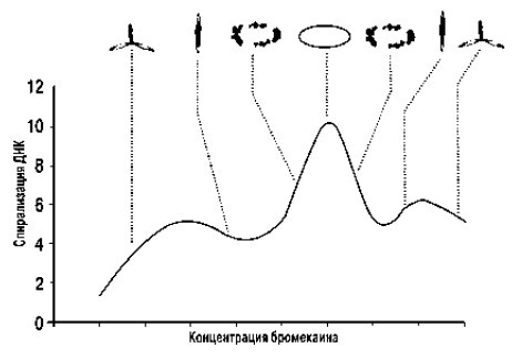 Мораль XXI века