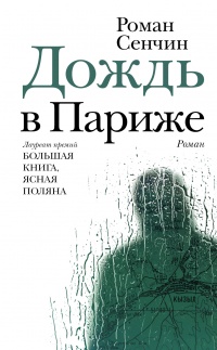 Книга Дождь в Париже