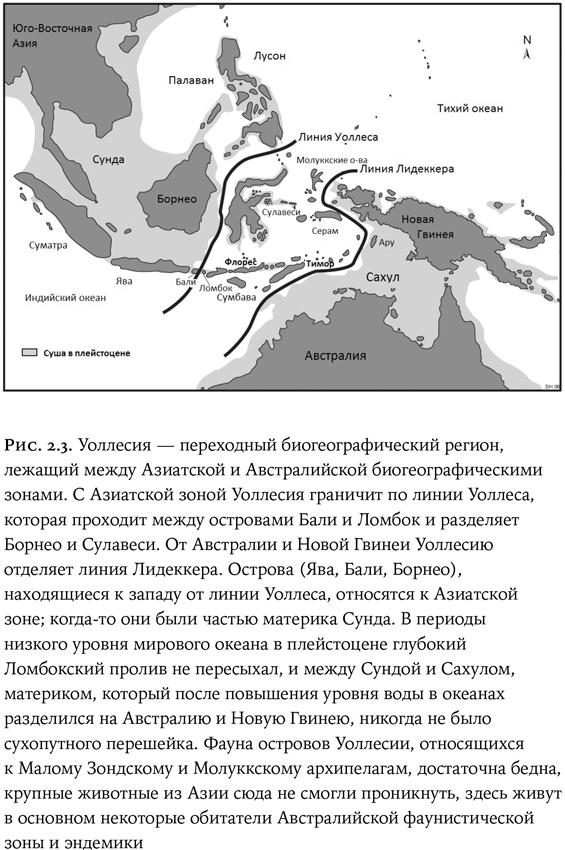 Люди и звери. Мифы и реальность