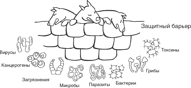 Твой второй мозг - кишечник. Книга-компас по невидимым связям нашего тела