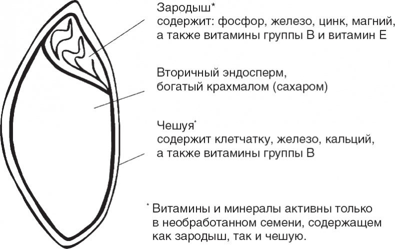 Твой второй мозг - кишечник. Книга-компас по невидимым связям нашего тела