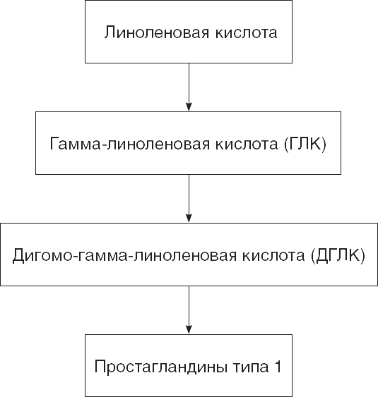 Твой второй мозг - кишечник. Книга-компас по невидимым связям нашего тела