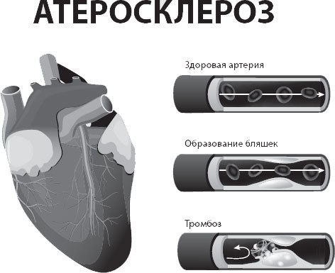 Твой второй мозг - кишечник. Книга-компас по невидимым связям нашего тела