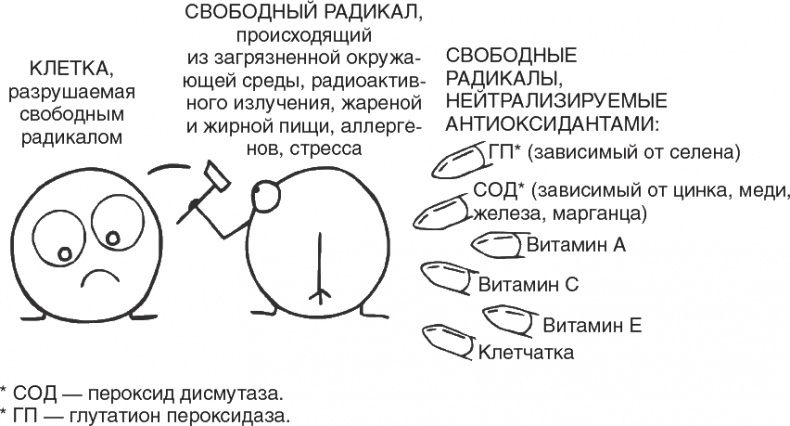 Твой второй мозг - кишечник. Книга-компас по невидимым связям нашего тела