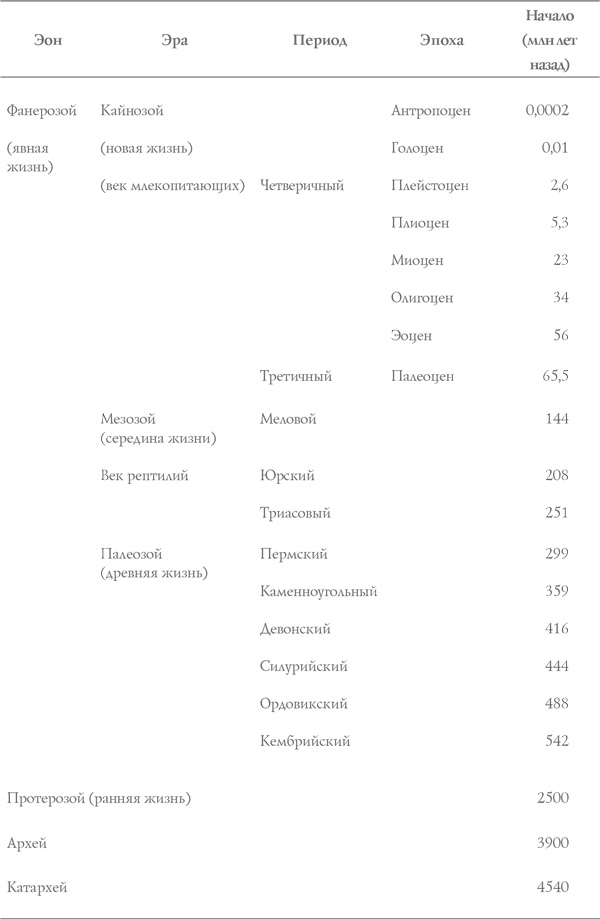 Книга о самых невообразимых животных. Бестиарий XXI века