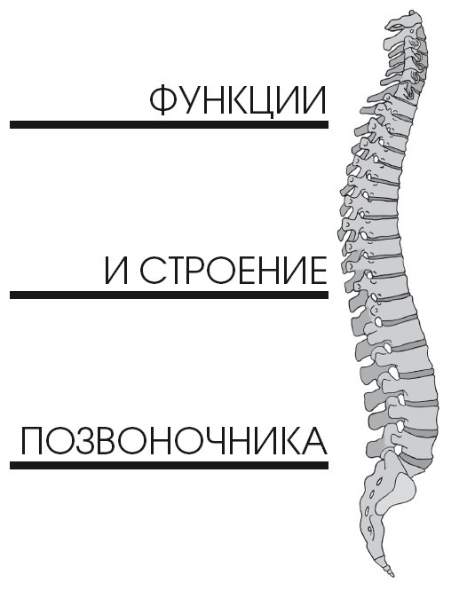 Диагностика и лечение позвоночника. Уникальная система доктора А. М. Уриа