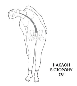 Диагностика и лечение позвоночника. Уникальная система доктора А. М. Уриа