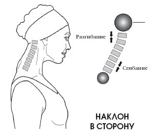 Диагностика и лечение позвоночника. Уникальная система доктора А. М. Уриа