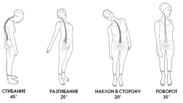 Диагностика и лечение позвоночника. Уникальная система доктора А. М. Уриа