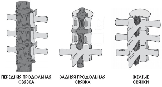 Диагностика и лечение позвоночника. Уникальная система доктора А. М. Уриа