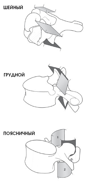 Диагностика и лечение позвоночника. Уникальная система доктора А. М. Уриа