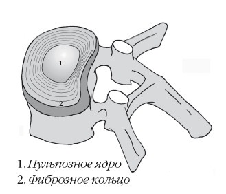 Диагностика и лечение позвоночника. Уникальная система доктора А. М. Уриа