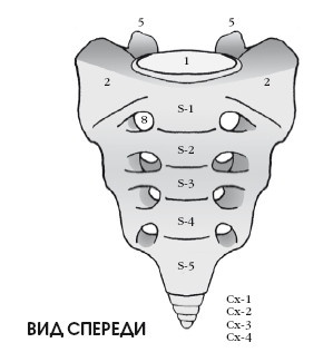 Диагностика и лечение позвоночника. Уникальная система доктора А. М. Уриа