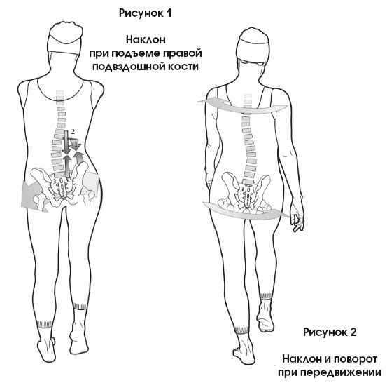 Диагностика и лечение позвоночника. Уникальная система доктора А. М. Уриа