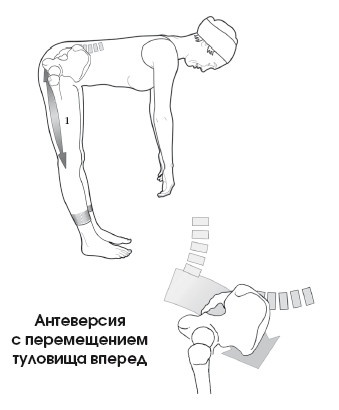 Диагностика и лечение позвоночника. Уникальная система доктора А. М. Уриа