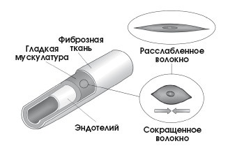 Диагностика и лечение позвоночника. Уникальная система доктора А. М. Уриа