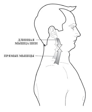 Диагностика и лечение позвоночника. Уникальная система доктора А. М. Уриа