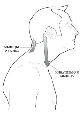 Диагностика и лечение позвоночника. Уникальная система доктора А. М. Уриа