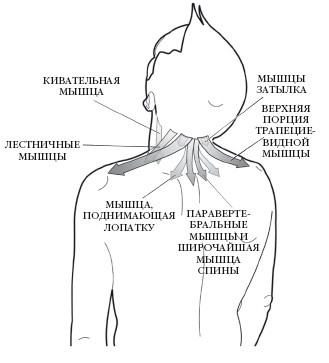 Диагностика и лечение позвоночника. Уникальная система доктора А. М. Уриа