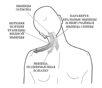 Диагностика и лечение позвоночника. Уникальная система доктора А. М. Уриа