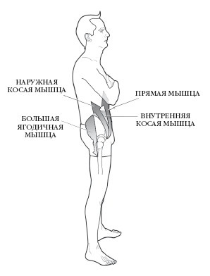 Диагностика и лечение позвоночника. Уникальная система доктора А. М. Уриа