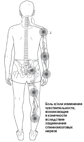 Диагностика и лечение позвоночника. Уникальная система доктора А. М. Уриа