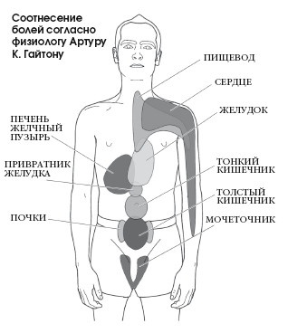 Диагностика и лечение позвоночника. Уникальная система доктора А. М. Уриа