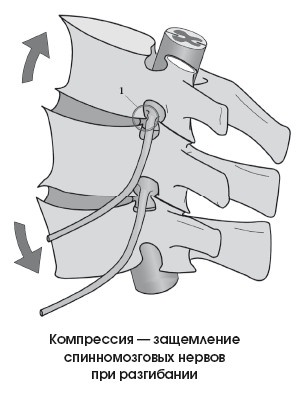 Диагностика и лечение позвоночника. Уникальная система доктора А. М. Уриа