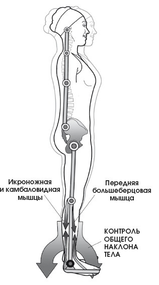 Диагностика и лечение позвоночника. Уникальная система доктора А. М. Уриа