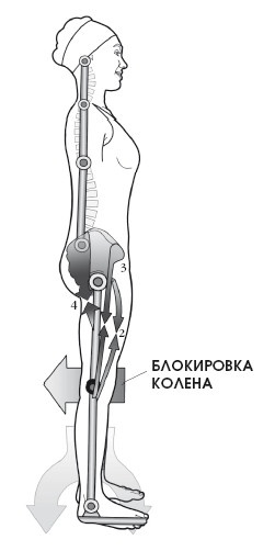 Диагностика и лечение позвоночника. Уникальная система доктора А. М. Уриа