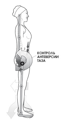 Диагностика и лечение позвоночника. Уникальная система доктора А. М. Уриа