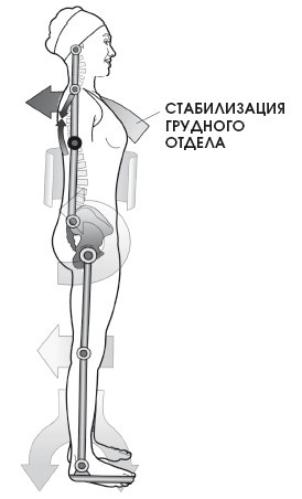 Диагностика и лечение позвоночника. Уникальная система доктора А. М. Уриа