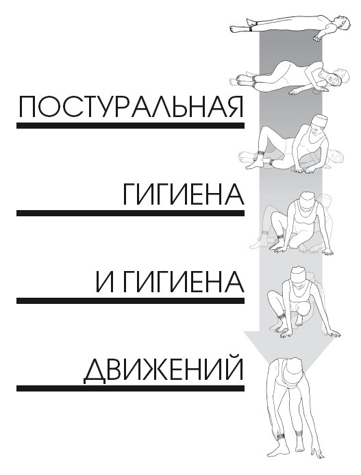 Диагностика и лечение позвоночника. Уникальная система доктора А. М. Уриа