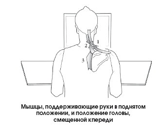 Диагностика и лечение позвоночника. Уникальная система доктора А. М. Уриа