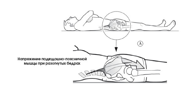 Диагностика и лечение позвоночника. Уникальная система доктора А. М. Уриа