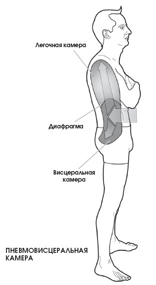 Диагностика и лечение позвоночника. Уникальная система доктора А. М. Уриа