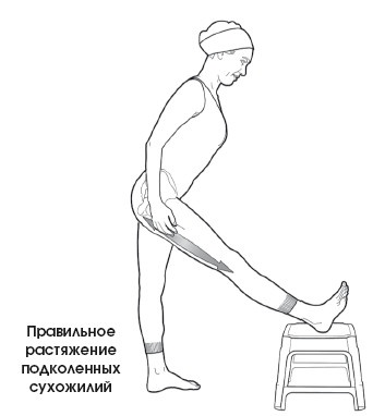 Диагностика и лечение позвоночника. Уникальная система доктора А. М. Уриа