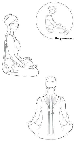 Диагностика и лечение позвоночника. Уникальная система доктора А. М. Уриа