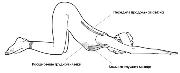 Диагностика и лечение позвоночника. Уникальная система доктора А. М. Уриа