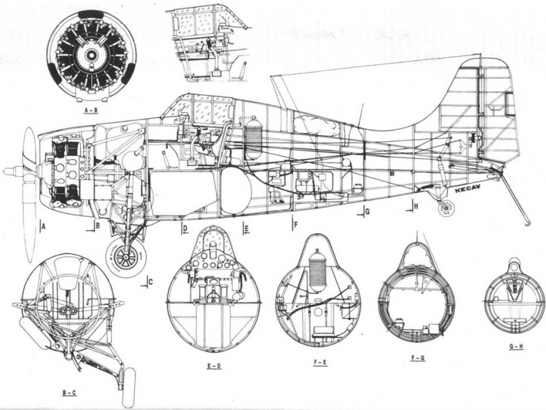 Grumman Wildcat