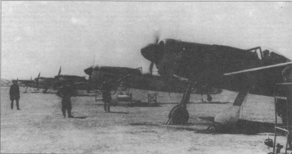 Focke Wulf Fw 190D Ta 15