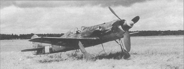 Focke Wulf Fw 190D Ta 15