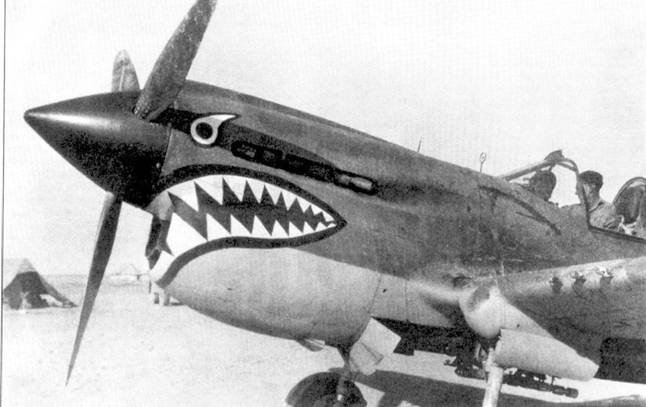 Curtiss P-40. Часть 4