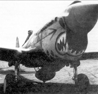 Curtiss P-40. Часть 4