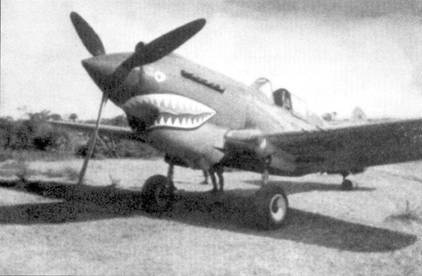 Curtiss P-40. Часть 4