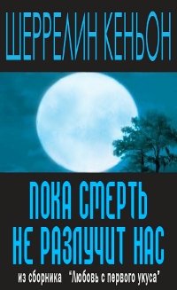 Книга Пока смерть не разлучит нас