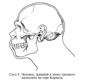 Палестина до древних евреев