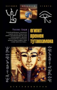 Книга Египет времен Тутанхамона