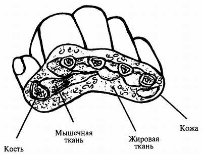 Корни китайского цигун. Секреты успешной практики