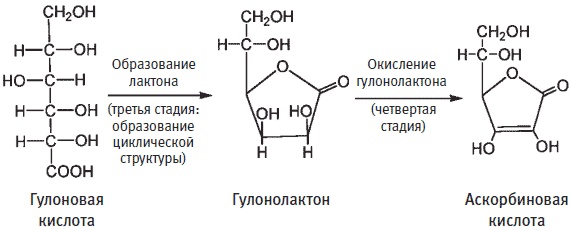 Пуговицы Наполеона. Семнадцать молекул, которые изменили мир